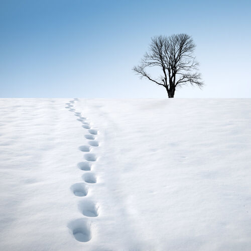 Foosteps in the snow